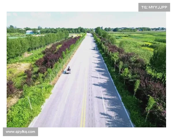 一个走宽乡村振兴路的样板 一个走宽乡村振兴路的样板